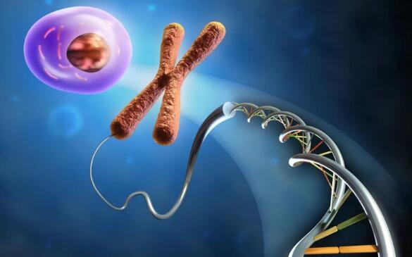 俄羅斯做試管嬰兒需要多少錢? 俄羅斯做試管嬰兒需要多少錢?