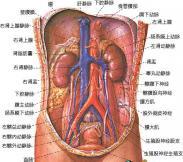 髂靜脈壓迫綜合征