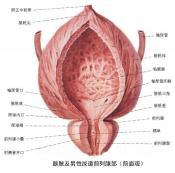 神經(jīng)原性膀胱