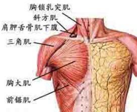 胸壁腫瘤